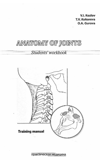 Anatomy of joints