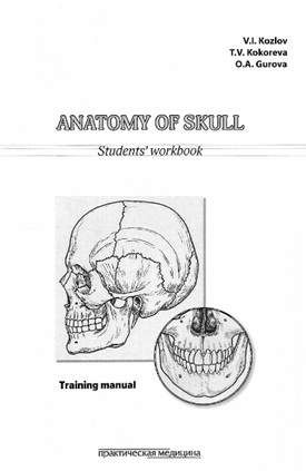 Anatomy of skull