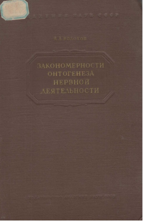 Закономерности онтогенеза нервной деятельности