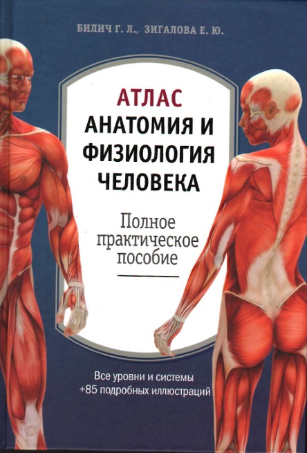 Атлас анатомия и физиология человека