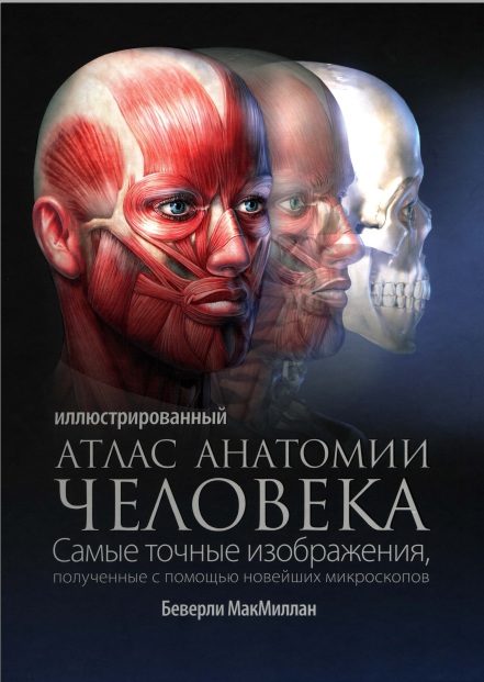 ИЛЛИЮСТРИРОВАННЫЙ АТЛАС АНАТОМИИ ЧЕЛОВЕКА