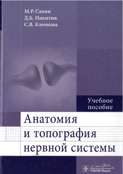 Анатомия и топография нервной системы