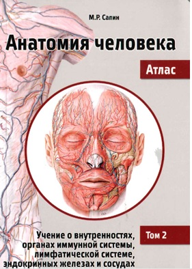 Анатомия человека атлас том-2