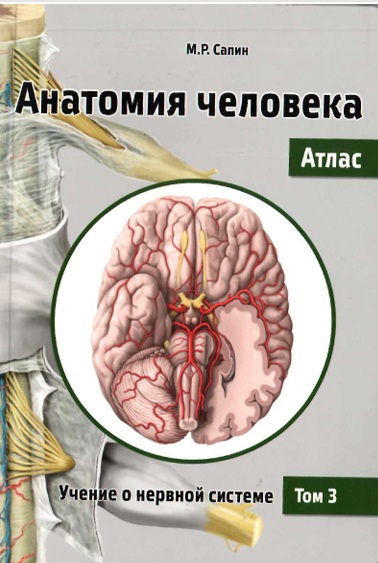 Анатомия человка атлас том-3