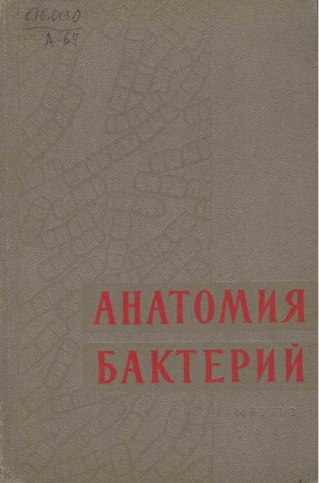 Анатомия бактерий