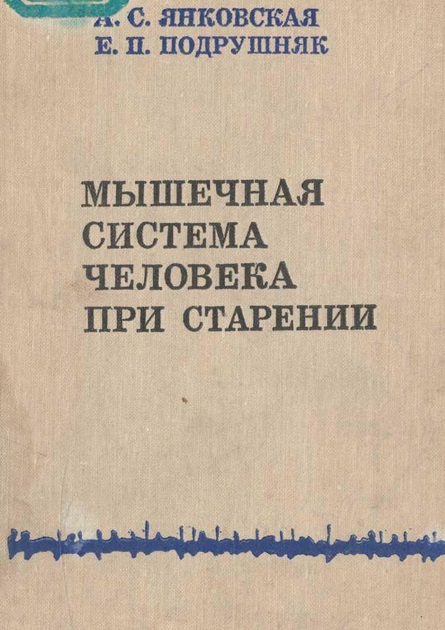 Мышечная система человека при старении