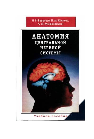 Анатомия центральной нервной системы