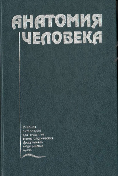 Анатомия человека