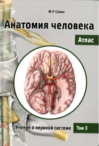 Анатомия человека АТЛАС том 3