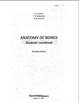 Anatomy of bones