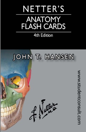 Netter's anatomy flash cards