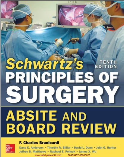 Schwartz's principles of surgery absite and board review
