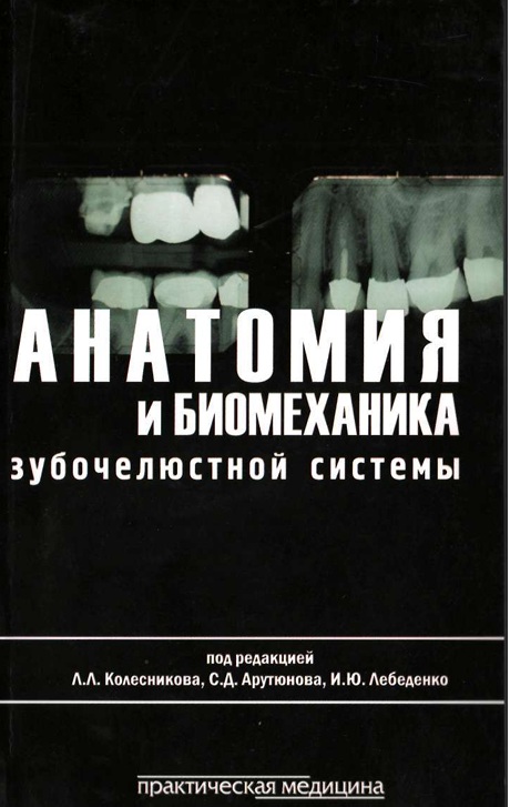 Анатомия и биомеханика зубочелюстной системы