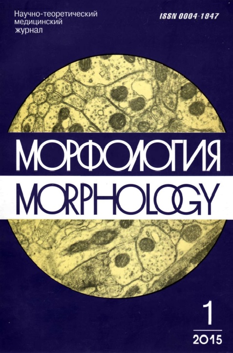 Морфология 1