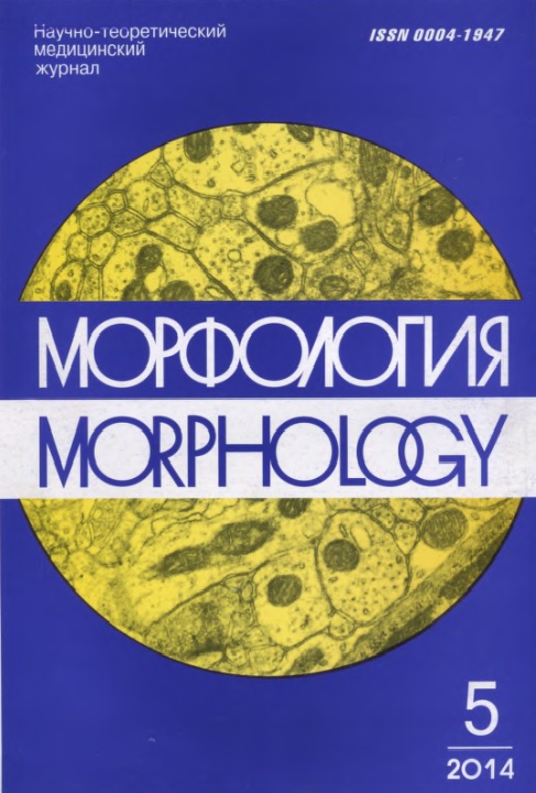 Морфология 5