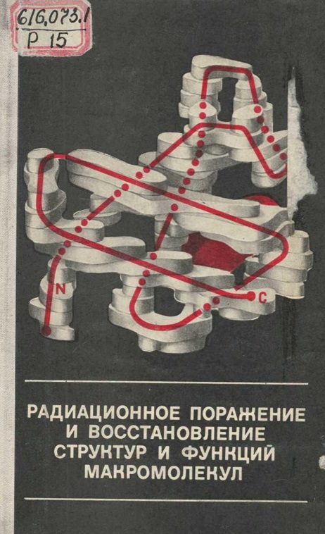 Радиационное поражение и восстановление сруктур и функций макромолекул