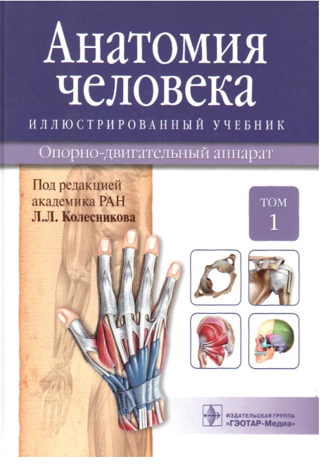 Анатомия человека Том1