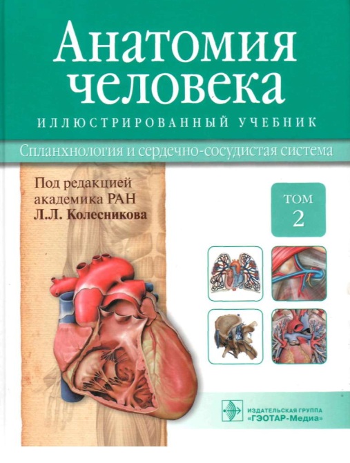 Анатомия человека Том 2