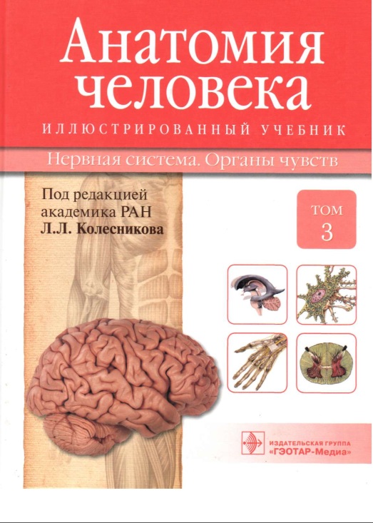 Анатомия человека Том 3
