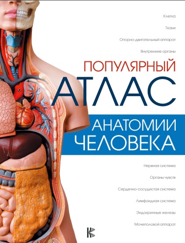 Популярный атлас анатомии человека