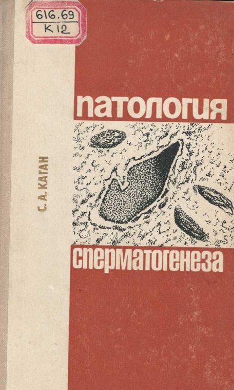 Патология сперматогенеза