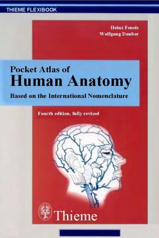 Human Anatomy