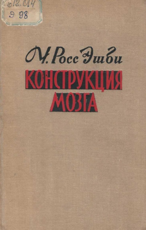 Конструкция мозга