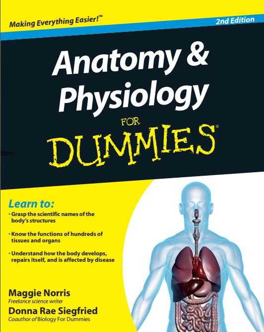 Anatomy & Physiology for dummies