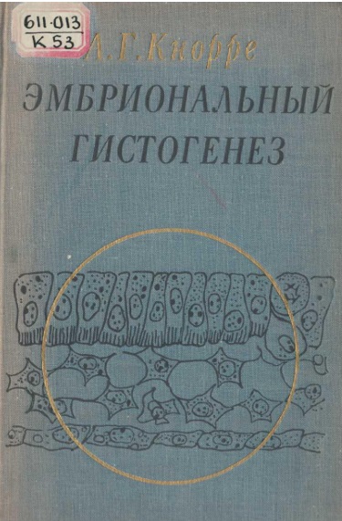 Эмбриональный гистогенез