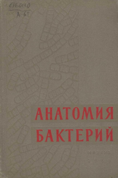 Анатомия бактерий