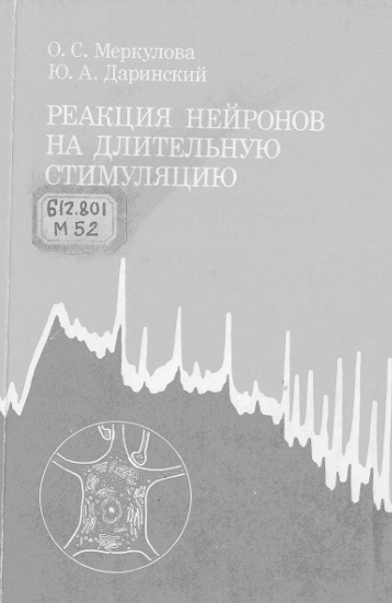 Реакция нейронов на длительную стимуляцию