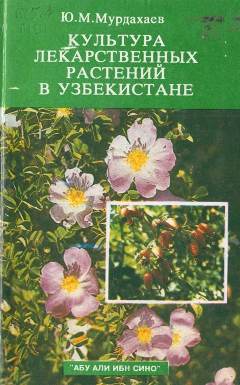 Культура лекарственных растений в Узбекистане