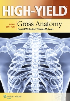 High-yield gross anatomy