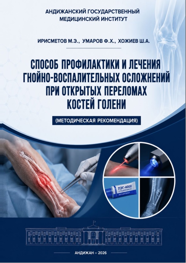 Способ профилактики и лечения гнойно-воспалительных осложнений при открытых переломах костей голени