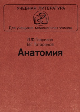 Анатомия