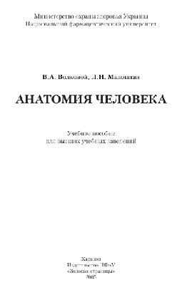 Анатомия человека