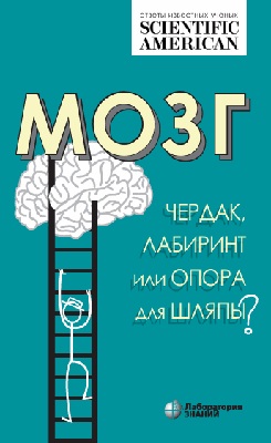 Мозг: чердак, лабиринт или опора для шляпы?