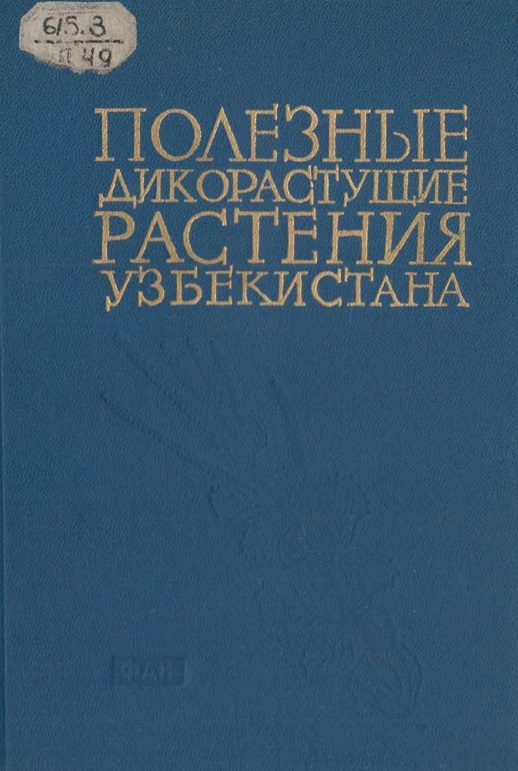 Полезные дикорастущие растения Узбекистана и их использование