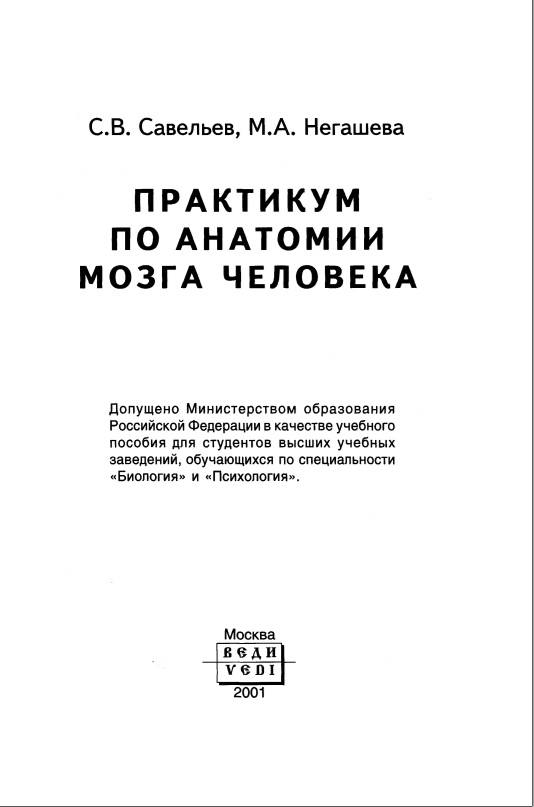 Практикум по анатомии мозга человека