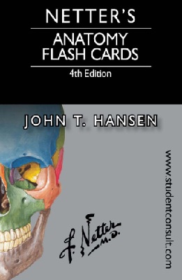 Netter’s anatomy flash cards