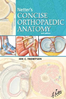 Netter’s concise orthopaedic anatomy, second edition