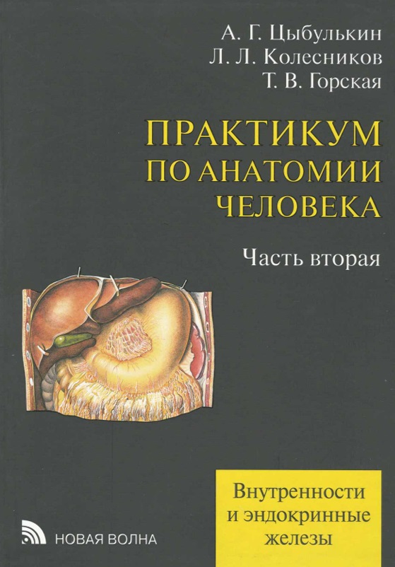 Практикум по анатомии человека Часть вторая