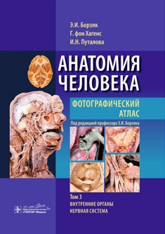 Анатомия человека фотографический атлас том3