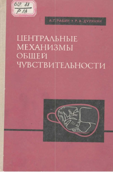 Центральные механизмы обшей чувствительности