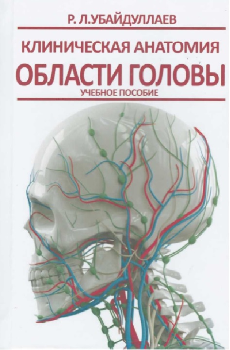 Клиническая анатомия области головы