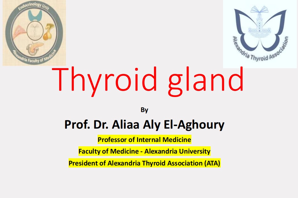 Thyroid gland