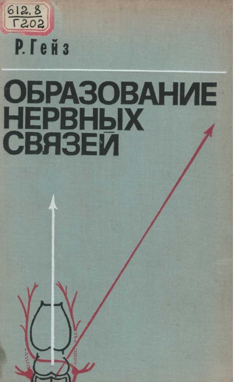 Образование нервных связей