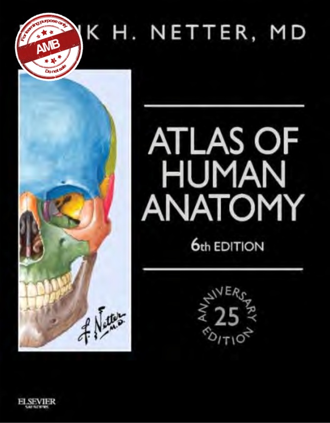 Atlas of Human anatomy