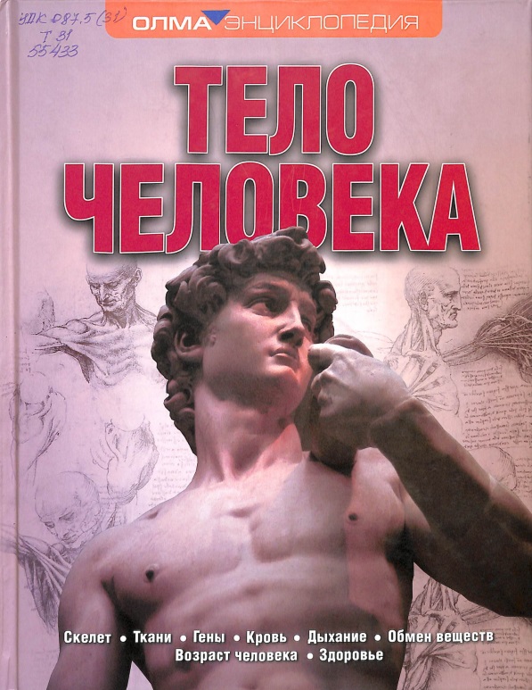 Тело человека