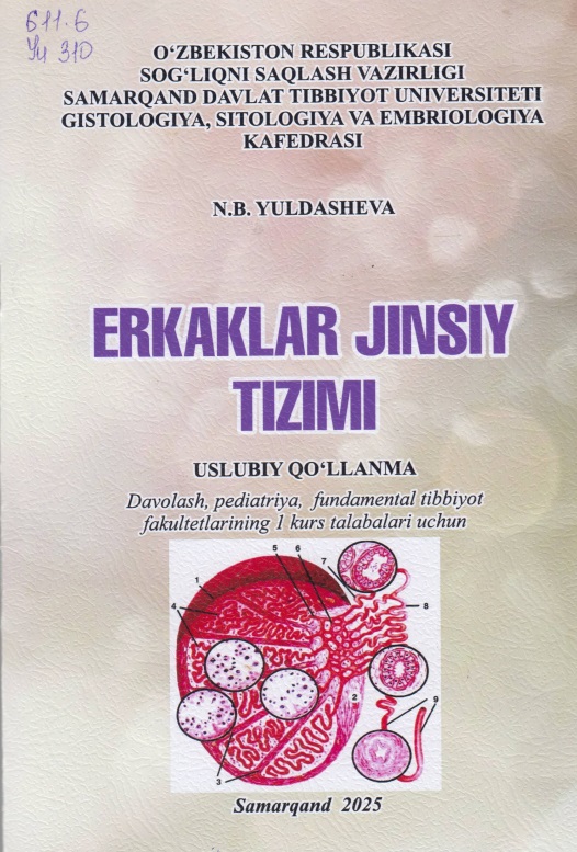 Erkaklar jinsiy tizimi